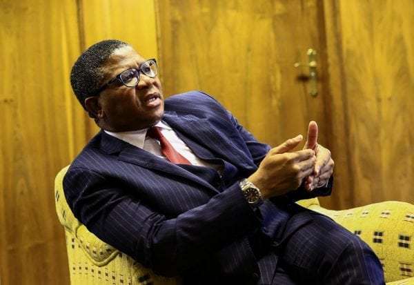 Fikile-Mbalula