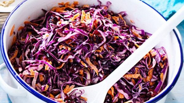 Red cabbage and craisin coleslaw recipe