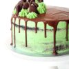 Choc-mint mousse cake recipe