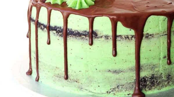 Choc-mint mousse cake recipe