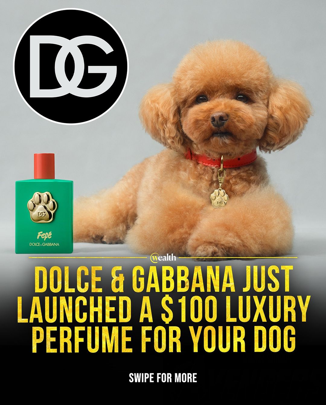 Dolce & Gabbana